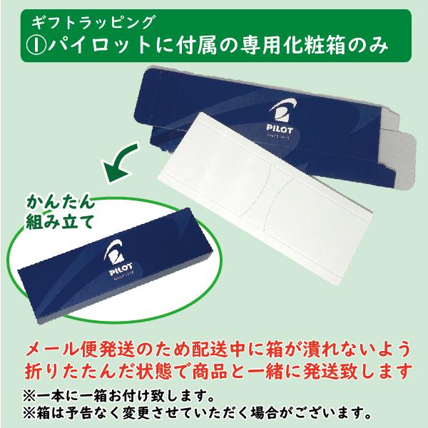 フリクション ボールペン フリクションボールノックゾーン パイロット