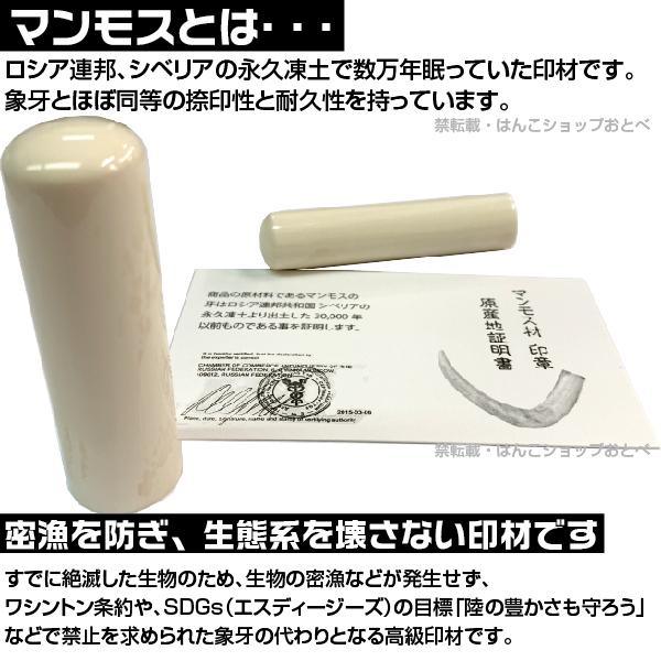 実印 マンモス 並上 印鑑ケース付 13.5mm 印鑑登録 13.5ミリ ハンコ 