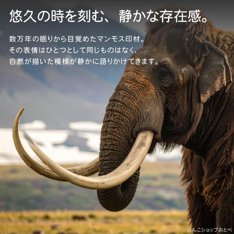 実印 マンモス 並上 印鑑ケース付 16.5mm 印鑑登録 16.5ミリ ハンコ 印鑑登録 おしゃれ 判子 作成 個人印鑑 印鑑 女性 男性