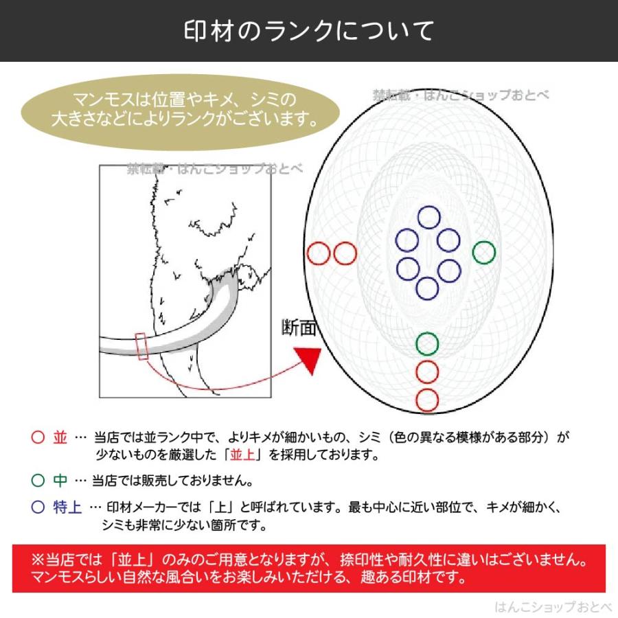 認印 マンモス 並上 印鑑ケース付 認め印 10.5mm 10.5ミリ ハンコ