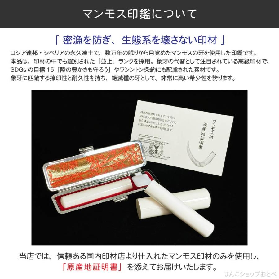 認印 マンモス 並上 印鑑ケース付 認め印 12mm 12ミリ ハンコ おしゃれ