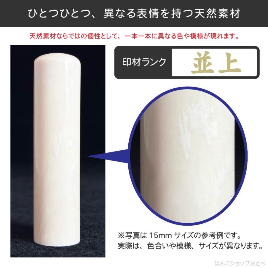 認印 マンモス 並上 印鑑ケース付 認め印 12mm 12ミリ ハンコ おしゃれ