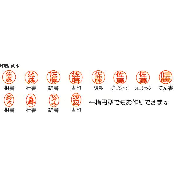 シヤチハタ（Shachihata） ネーム印鑑 訂正印 キャップレス シャチハタ