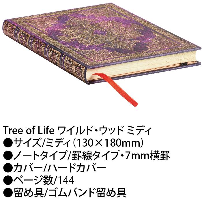 paperblanks（ペーパーブランクス） ノート ミディ 冬至の星 ビジュ