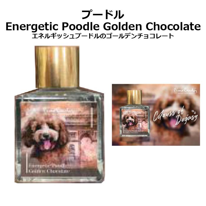 pierre cardin（ピエール カルダン） 犬のインク Colours of Dogasy