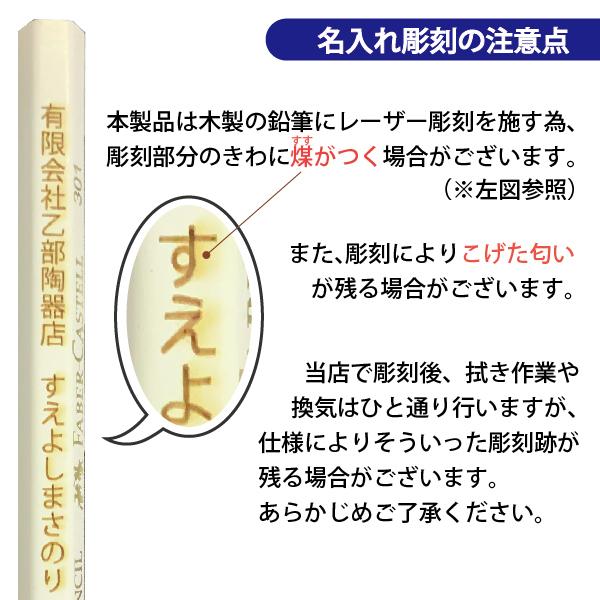 ファーバーカステル 名入れ 油性 色鉛筆 36色 TFC-CP/36C 正規輸入品