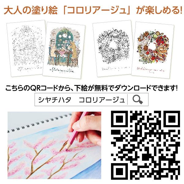 ファーバーカステル 油性 色鉛筆 48色セット TFC-CP/48C 正規輸入品