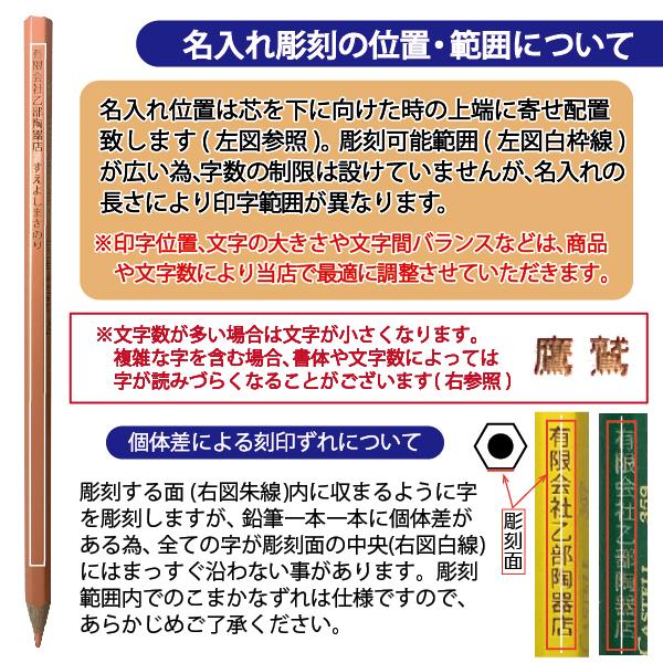 ファーバーカステル 名入れ 水彩色鉛筆 100色 セット TFC-WCP/100C
