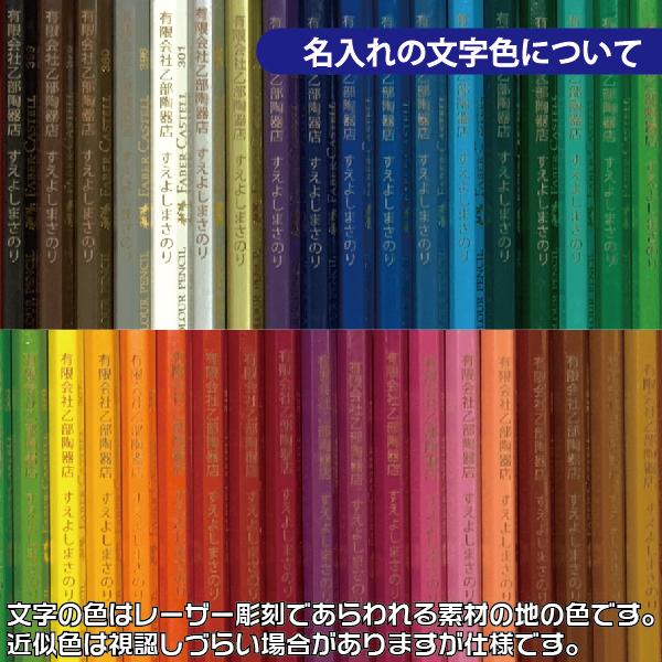ファーバーカステル 名入れ 水彩色鉛筆 24色 TFC-WCP/24C 正規