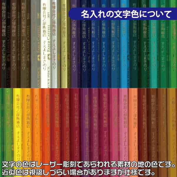 ファーバーカステル 名入れ 水彩色鉛筆 60色 TFC-CP/60C 水性 正規輸入