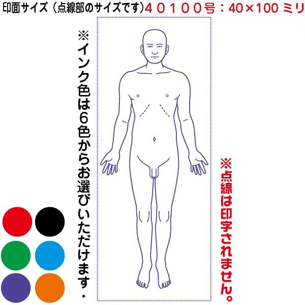 シヤチハタ（Shachihata） 人体図 シャチハタ 医療用人体図 全身 男性