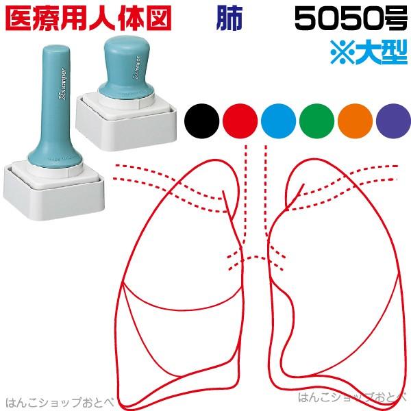 人体図 シャチハタ 医療用人体図 肺 特角50号 長柄 短柄 角型印 5050 医療 スタンプ 『本州送料無料』 カルテ 病院 検査 はんこ 印鑑 ハンコ｜hanko-otobe