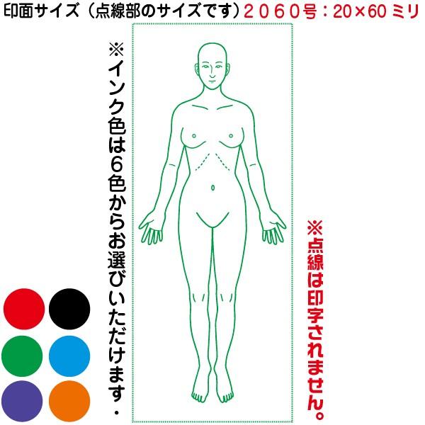 人体図 シャチハタ 医療用人体図 全身 女性正面 角型印 2060号 医療 スタンプ 『本州送料無料』 カルテ 病院 検査 はんこ 印鑑 ハンコ｜hanko-otobe｜02