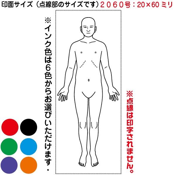 シヤチハタ（Shachihata） 人体図 シャチハタ 医療用人体図 全身 正面