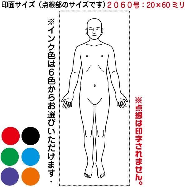 人体図 シャチハタ 医療用人体図 全身 正面 角型印 2060号 医療 スタンプ 『本州送料無料』 カルテ 病院 検査 はんこ 印鑑 ハンコ｜hanko-otobe｜02