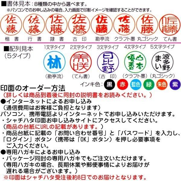シヤチハタ（Shachihata） 印鑑 キャップレス9 スパークリングクリア