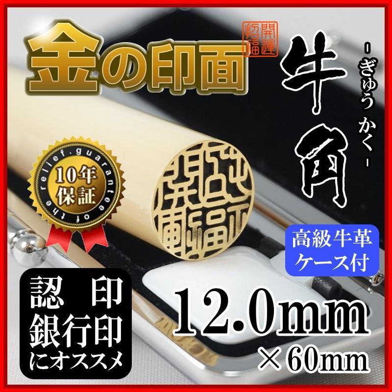 牛角 印鑑 12.0mm 金箔仕上げ 高級牛革ケース付 高級感と金運を両立 新社会人・就職祝いギフトに最適