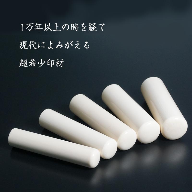 印鑑 マンモス 超希少 18.0mm 個人印 高級牛革ケース付きの画像