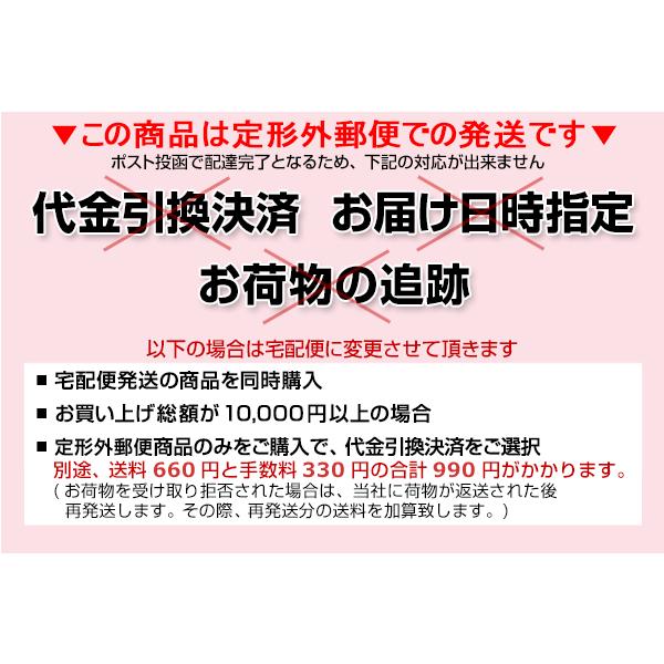 (薄墨)のし袋用慶弔スタンプ(2行用) 慶弔スタンプ ご香典 法人 連名 ゴム印 お名前スタンプ 印鑑 はんこ(定形外郵便発送) (HK030) TKG｜hankomaturi｜08