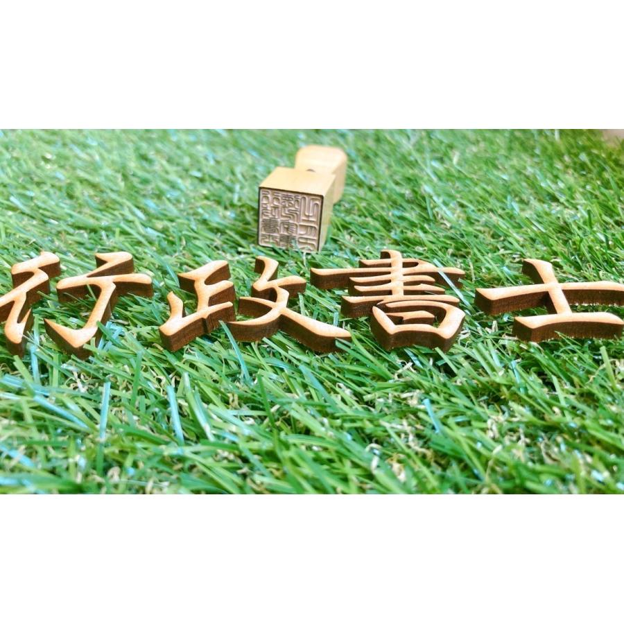 印鑑 角印 オランダ水牛 18mm 職印 行政書士 【送料無料】の画像