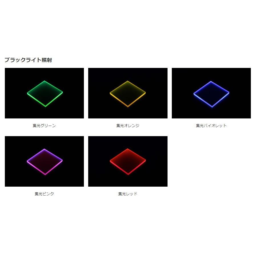 キーホルダー 名入れ 彫刻 動物プレート 集光アクリル 透明アクリル