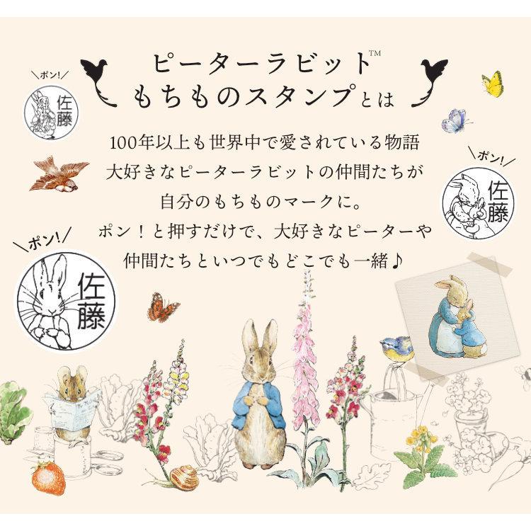 ピーターラビット もちものスタンプ Peter Mochimono 印鑑 チタン シャチハタのハンコズ 通販 Yahoo ショッピング