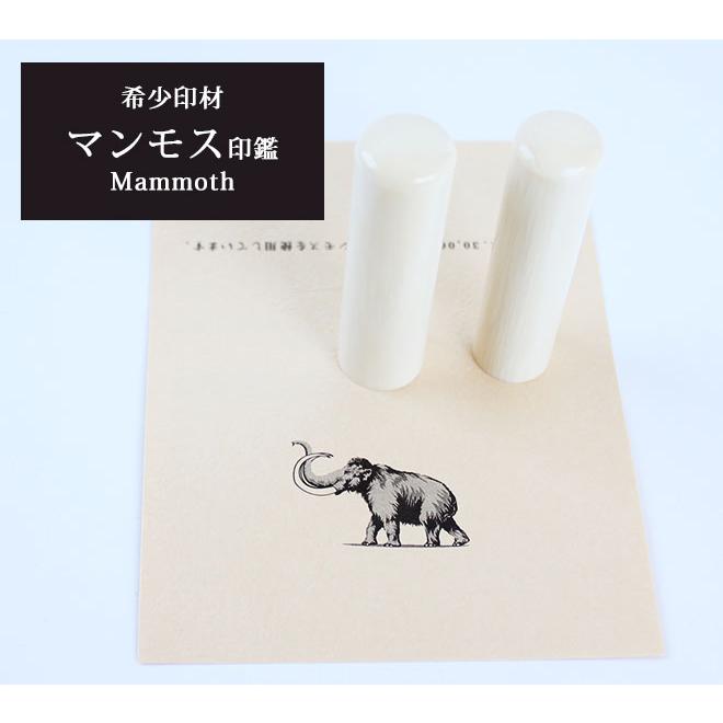 印鑑 はんこ マンモス印鑑 15 0mm 高級もみ革印鑑ケース付 実印 銀行印 認印 結婚祝い 出産祝い 入学祝い 就職祝い かっこいい 10年保証 Mammoth C 150 ハンコヤストア 通販 Yahoo ショッピング