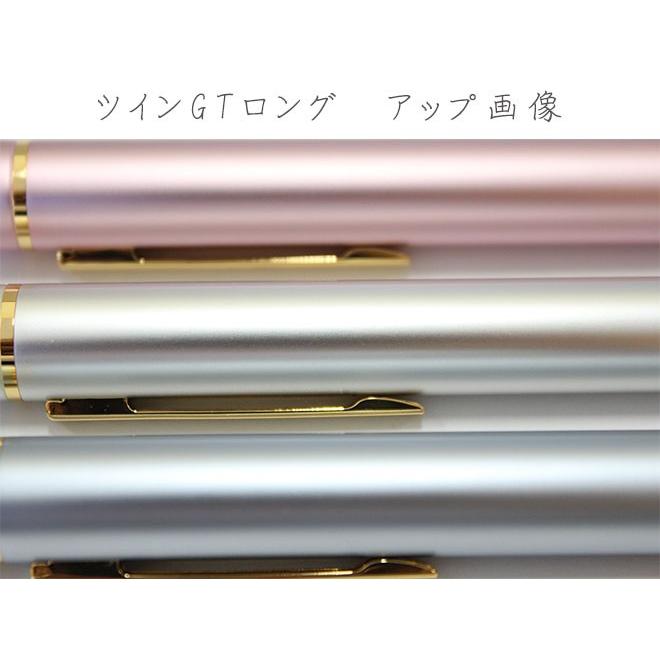 タニエバー ツインＧＴロング（ネーム印＋訂正印 送料無料 印鑑 ハンコ はんこ   ネーム印 認印 修正印 ナース ポイント消化 | ハンコヤストア | 05