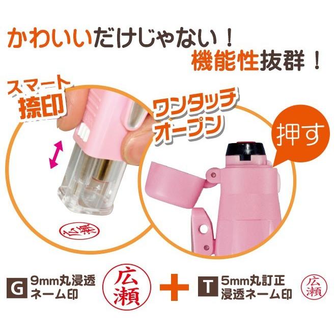 虫はんこさん、専用 住化エンバイロメンタルサイエンス ゴキブリ駆除 殺虫スプレー