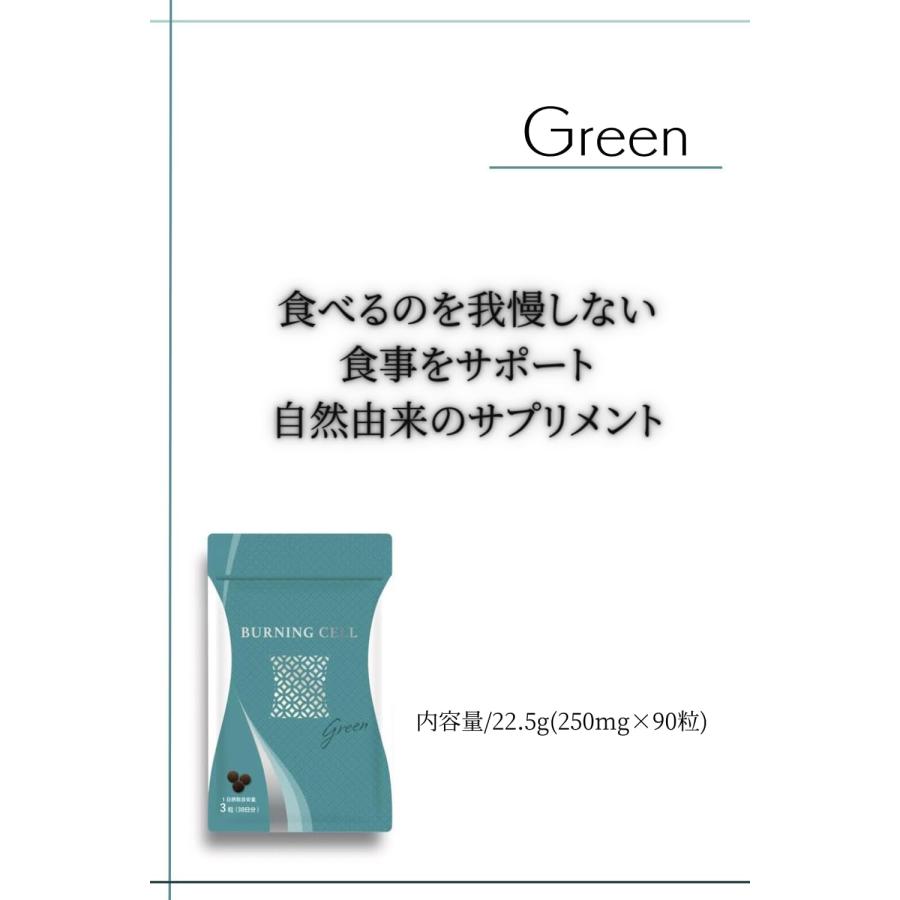 Burning cell (バーニングセル) GREEN 和漢サプリ (90粒 30日分 / 糖質
