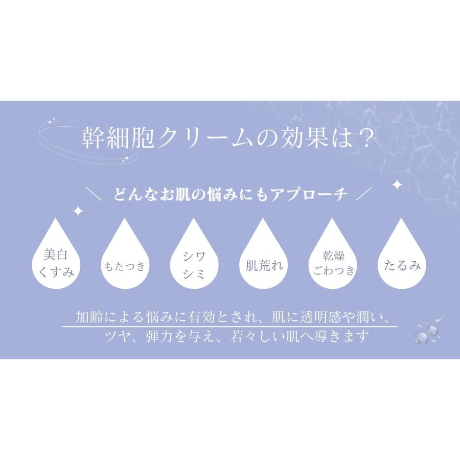 HUTEMCELL (ヒューテムセル) 幹細胞クリーム (ヒト幹細胞7％ / 100ml) 乳液 スキンローション スキンケア 韓国コスメ 保湿 毛穴ケア｜hanmi-shop｜11