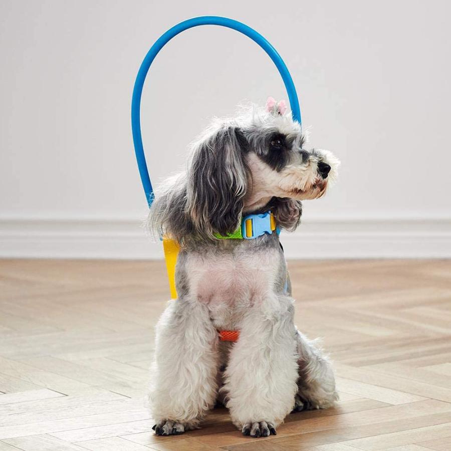 留守番でも安心、目の見えない犬保護ガード サイズ：S | ごっつん防止