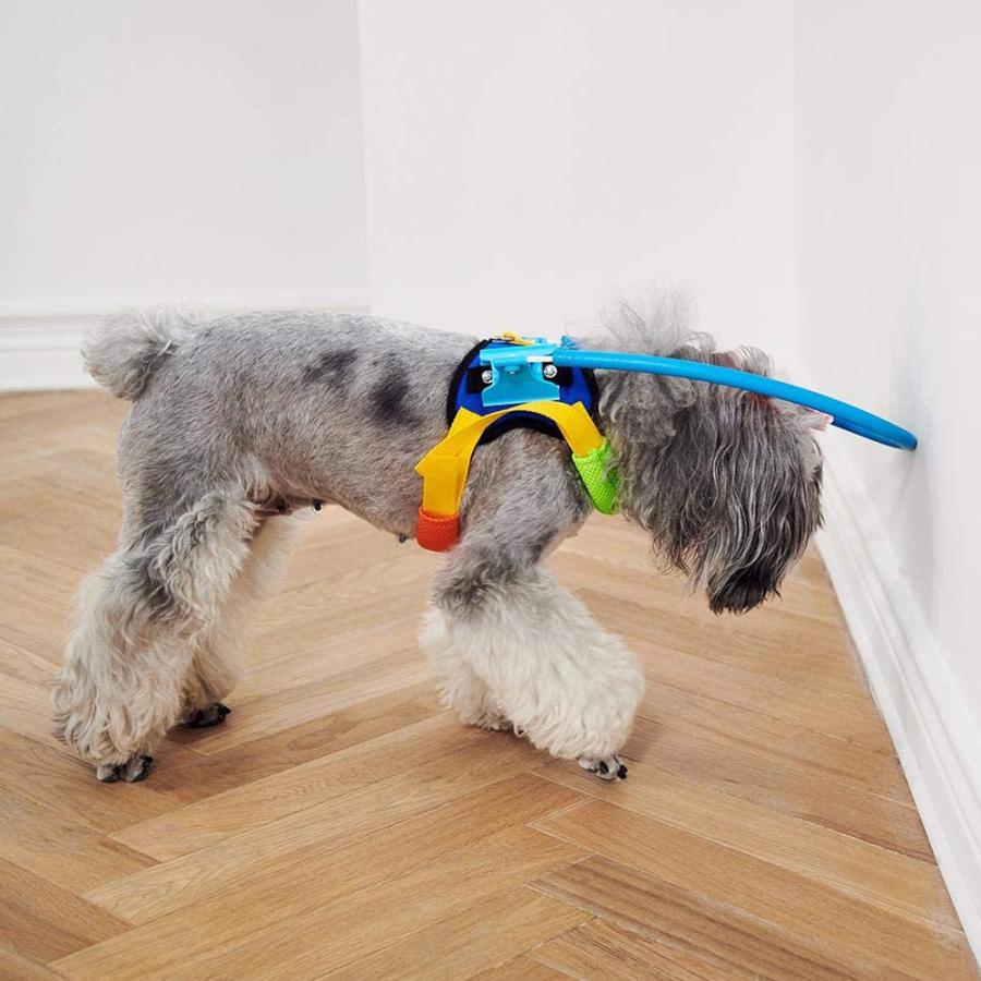 留守番でも安心、目の見えない犬保護ガード サイズ：S | ごっつん防止