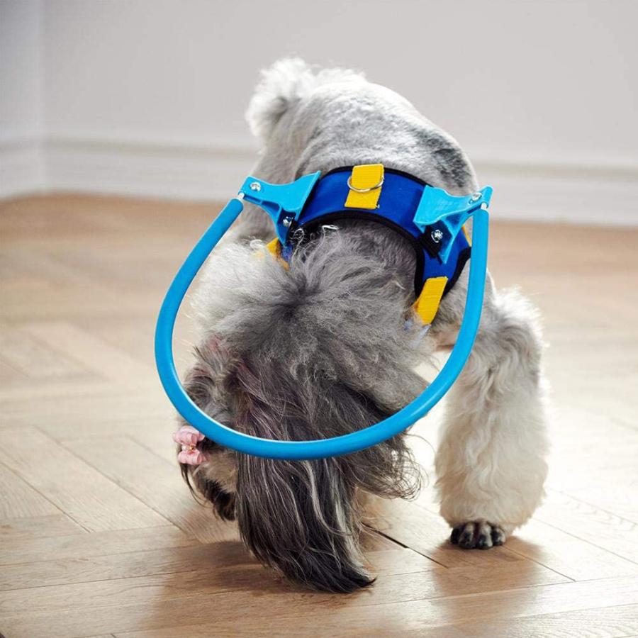 留守番でも安心、目の見えない犬保護ガード サイズ：S | ごっつん防止