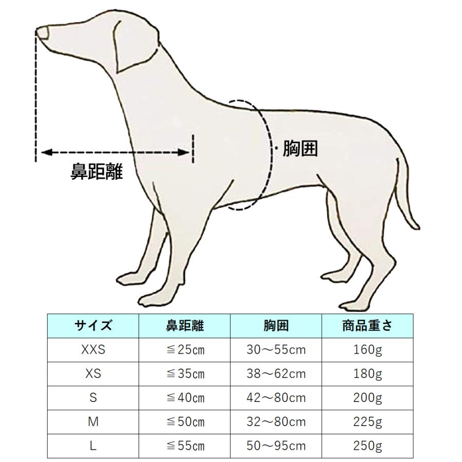 留守番でも安心、目の見えない犬保護ガード サイズ：S | ごっつん防止