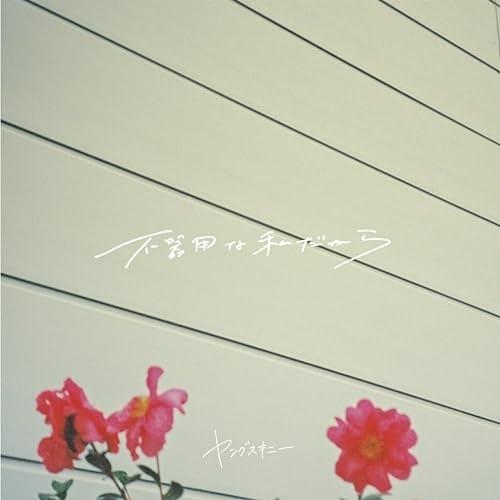 ビクターエンタテインメント CD/ヤングスキニー/不器用な私だから