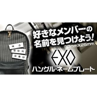 送料無料・速達】 EXO (エクソ) グッズ - ハングル ネームプレート
