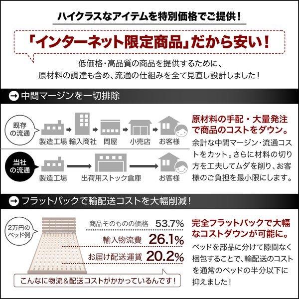収納 大容量 専用別売品 引出し4杯 【後払】