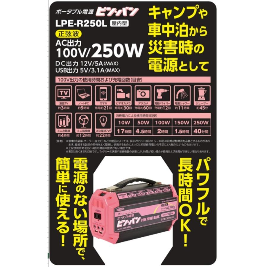 【在庫有り即納】日動工業 ピンバン LPE-R250L  ポータブル電源 2.9ｋｇ 屋内用 パワフルで長時間OK！電源のない場所で簡単に使える！軽くてコンパクト！｜hanshin-k｜03