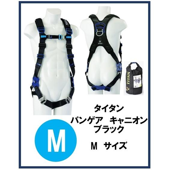 3個在庫あり】【新規格】タイタン パンゲア キャニオン ブラック M 