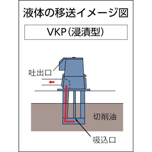 テラル水中ポンプ VKP085A