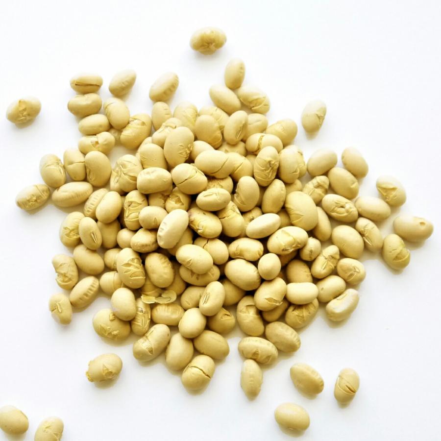 福豆（国産）200g（ふくまめ・節分・豆まき）（煎り大豆・魔滅・行事