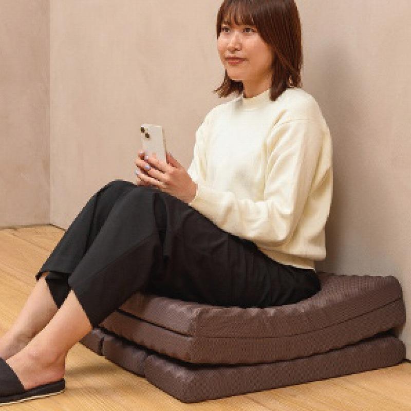 西川のごろ寝マット スイート ブラウン nishikawa ごろ寝マット スイート(ブラウン) : 販促品・ノベルティ