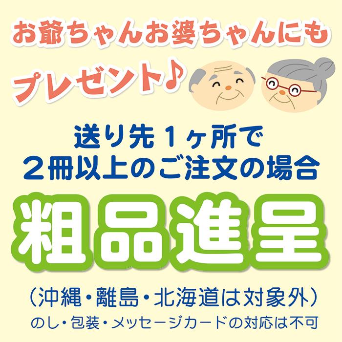 大きく 見やすい 日めくり カレンダー 10号 月齢入り 2026年版 : 販促