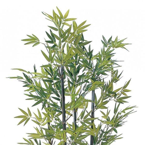 人工植物 グリーンデコ　黒竹5本立　鉢無　1.5m 