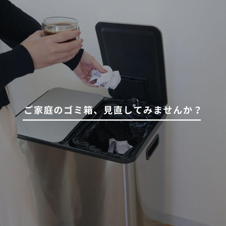 DEPOS レビュー特典付き ゴミ箱 ダストボックス 30L×2個 DEPOS レビュー特典付き ゴミ箱 ダストボックス 30L×2個