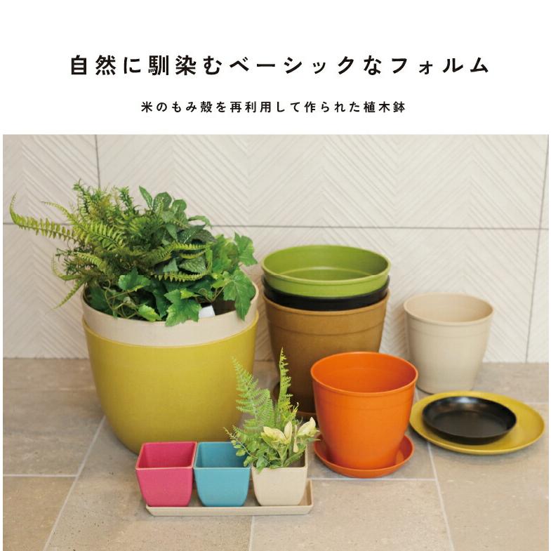 植木鉢  軽量  受け皿 受皿 鉢 鉢カバー 米 コメ コメエコポット 素材 カラフル ギフト Come-co pot 6号 高さ17cm｜hanwa-ex｜02