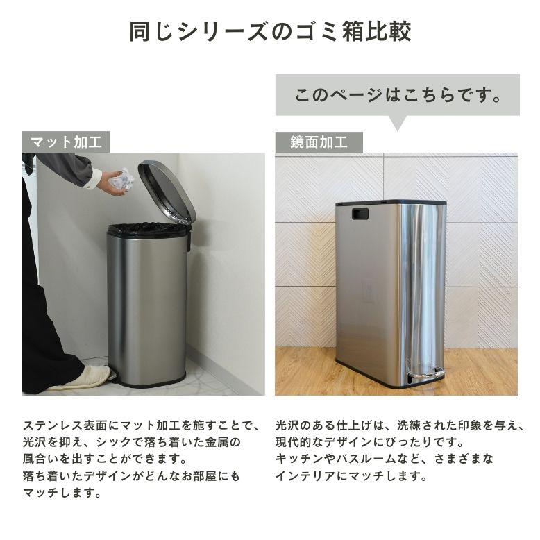 レビュー特典付き ゴミ箱 30リットル スリム おしゃれ キッチン 両開き