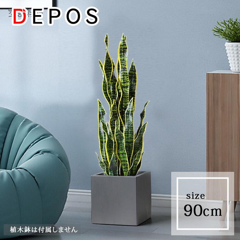 2026年最新】Yahoo!オークション - #sansevieria(花、園芸)の中古品