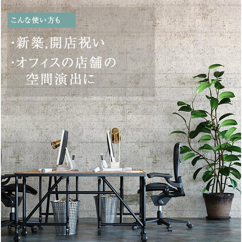 フェイクグリーン 大型 おしゃれ 観葉植物 フェイク リアル 造花 ナチュラル ザミオクルカス ザミフォーリア 130cm 【大型宅配便】の画像